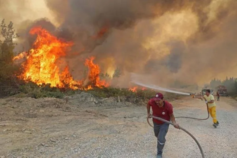 Diyarbakır ve Mardin Yangınında Korkunç Bilanço! 5 Ölü , 44 Yaralı — haber görseli