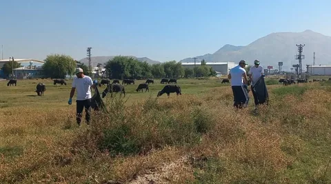 Kayseri’nin Doğal Hazinesi Hürmetçi Sazlığı Temizleniyor — haber görseli