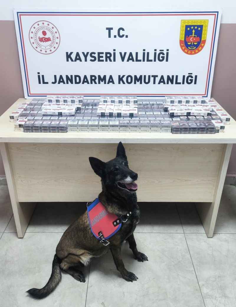 kayserinin-pinarbasi-ilcesinde-jandarma-ekiplerinin-duzenledigi-yol-kontrolunde-bir-tirda-yapilan-aramada-320-paket-bandrolsuz-ve-hologramsiz-kacak-sigara-ele-gecirildi-olayla-ilgili-adli-islem-baslatildi