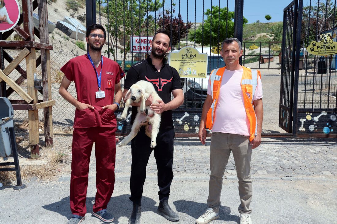 Kurban Bayramı'nın dördüncü gününde Kayseri'nin Talas ilçesinde kaybolan koyun ve kuzular, Talas Belediyesi’nin hızlı ve duyarlı müdahalesiyle sahibine kavuştu.