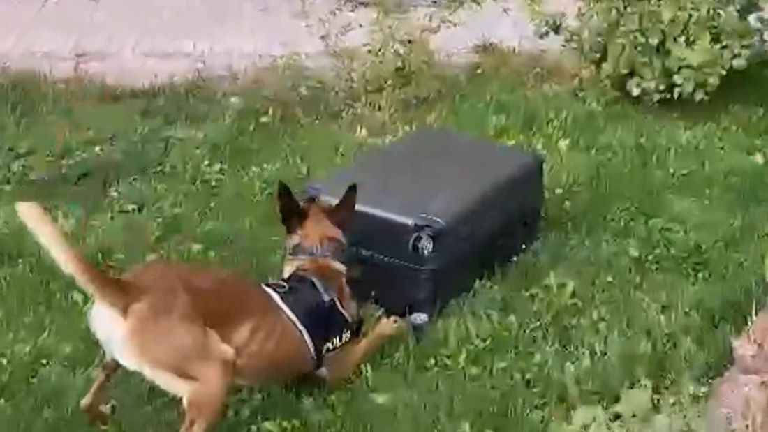 kayseride-narkotik-ekipleri-uyusturucu-madde-saticilarina-yonelik-operasyon-duzenledi-operasyonda-11-kilo-284-gram-uyusturucu-madde-ele-gecirilirken-supheli-my-gozaltina-alindi