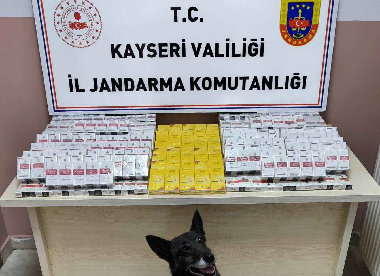 jandarmanin-yol-kontrolunde-durdurdugu-tirda-cay-ve-tutun-tespit-kopeginin-tepki-vermesi-uzerine-630-paket-bandrolsuz-sigara-bulundu