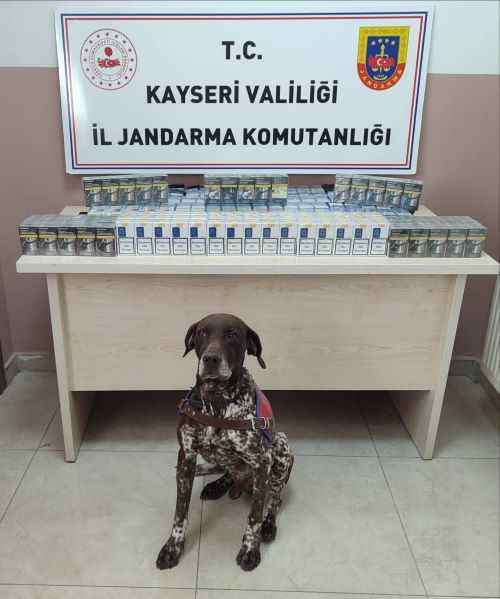 kayseri-malatya-yolunda-jandarma-ekiplerinden-buyuk-operasyon-3-tirda-cay-ve-tutun-kopeginin-tepkisiyle-640-paket-kacak-sigara-ele-gecirildi-tahkikat-devam-ediyor