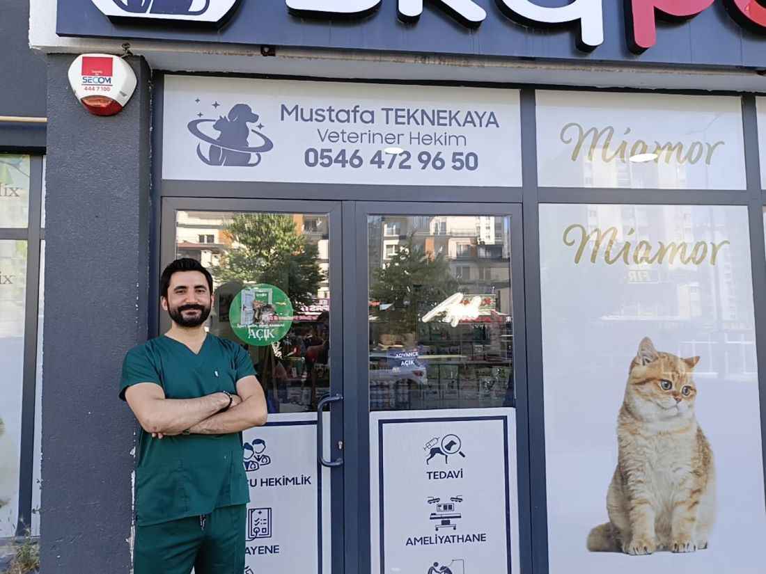 sokakta-olume-terk-edilen-minik-bir-kedi-ve-onu-hayata-donduren-mucize-bir-veteriner-mustafa-teknekaya-sadece-bir-hekim-degil-vicdaniyla-sevgisiyle-kayseride-canlara-nefes-olan-bir-yurek