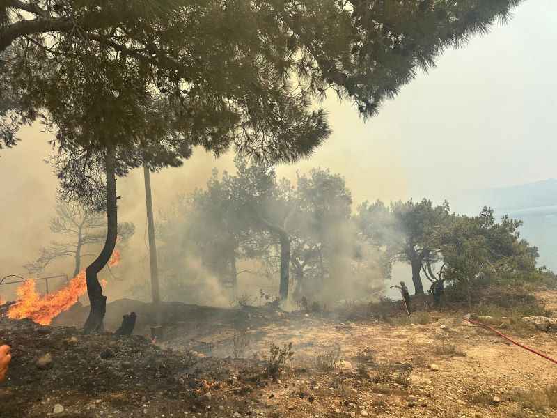izmirin-karaburun-ilcesine-bagli-mordogan-mahallesinde-ogle-saatlerinde-orman-yangini-cikti
