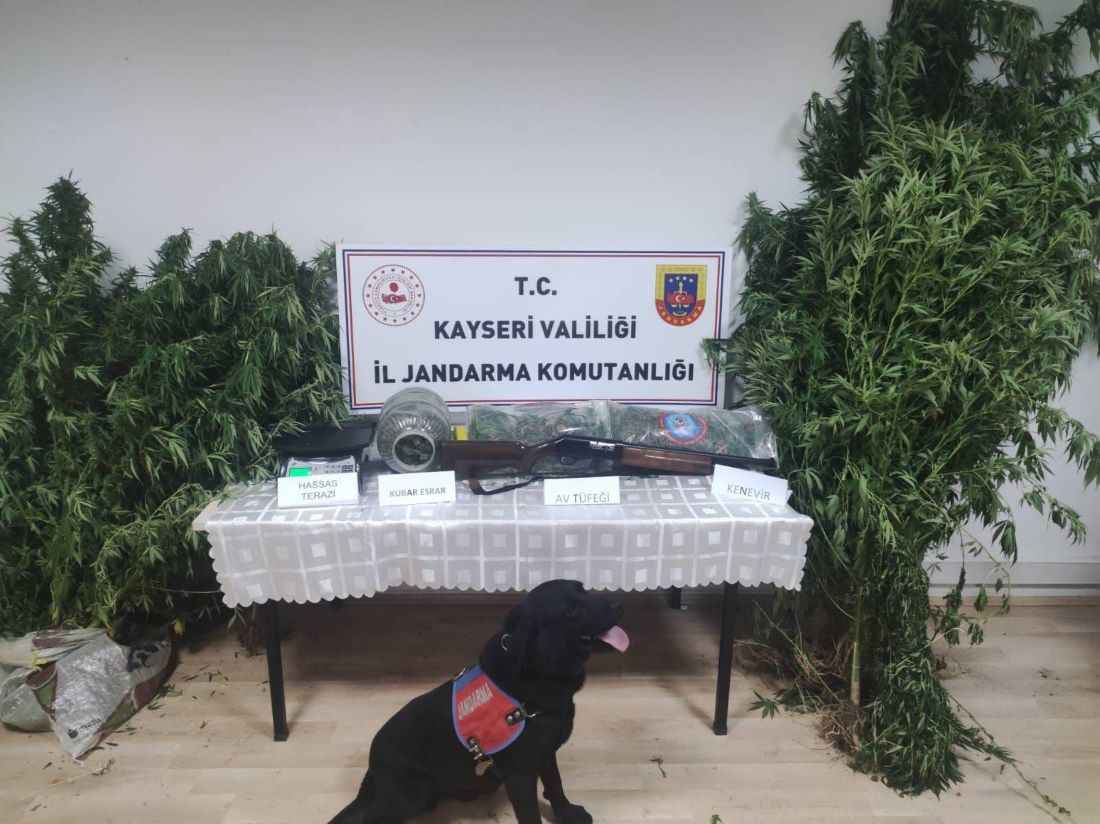 kocasinan-yazir-mahallesinde-jandarmanin-duzenledigi-operasyonda-3-kilo-210-gram-esrar-16-kok-kenevir-ruhsatsiz-av-tufegi-hassas-terazi-ele-gecirildi
