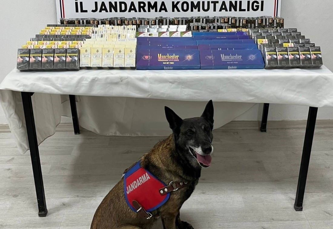 Kayseri Sondakika ...  İl Jandarma Komutanlığı ekipleri, kaçakçılıkla mücadele kapsamında düzenledikleri yol kontrolünde 500 paket kaçak sigara ele geçirdi.