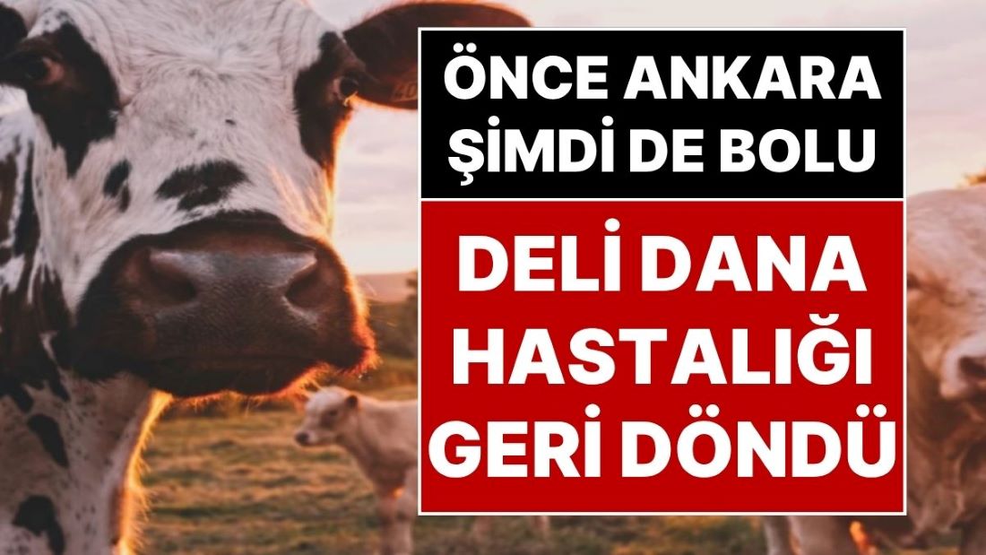 Kısa bir süre önce Ankara'da yoğun bakımda tedavi gören bir kişide tespit edilen deli dana hastalığı bu kez de Bolu'da bir kadında teşhis edildi.