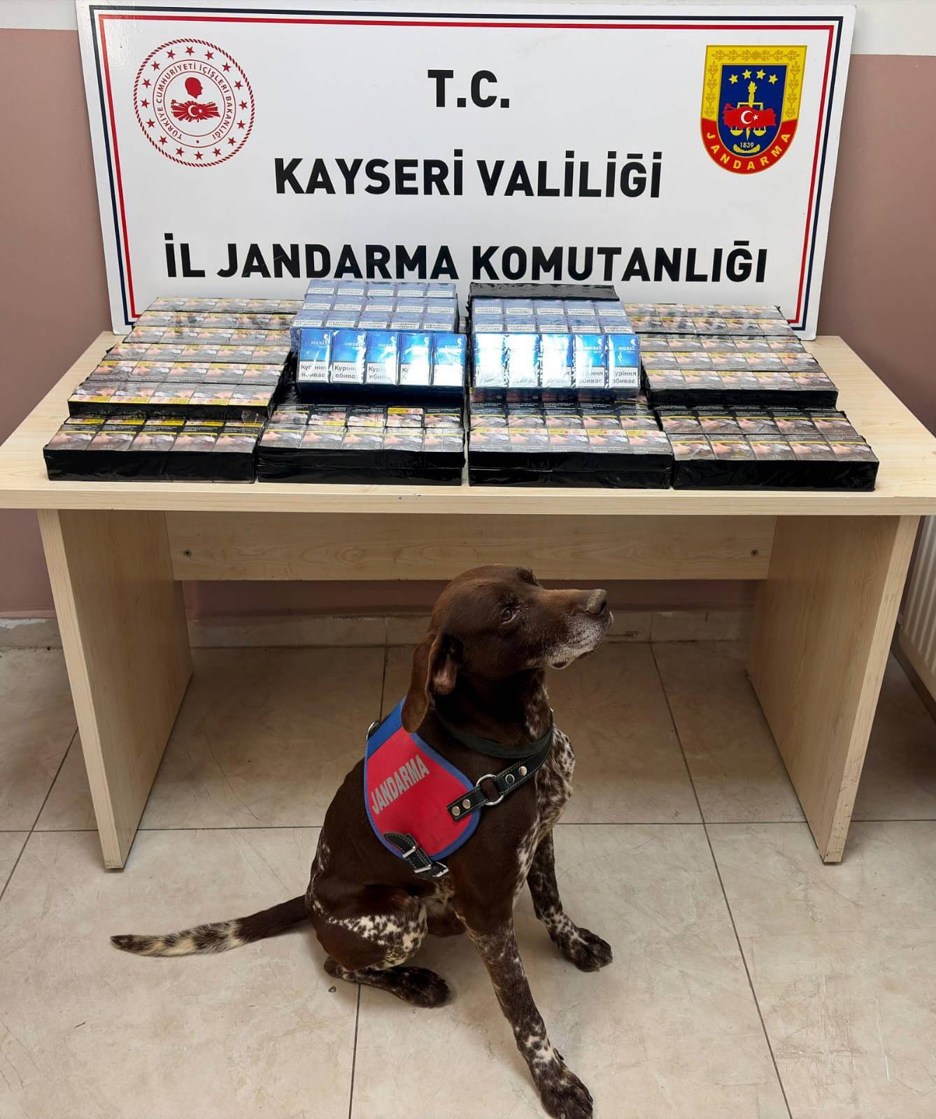 Pınarbaşı Jandarma Ekiplerinden Yol Kontrolü: Tıra Gizlenmiş Kaçak Sigara Ele Geçirildi