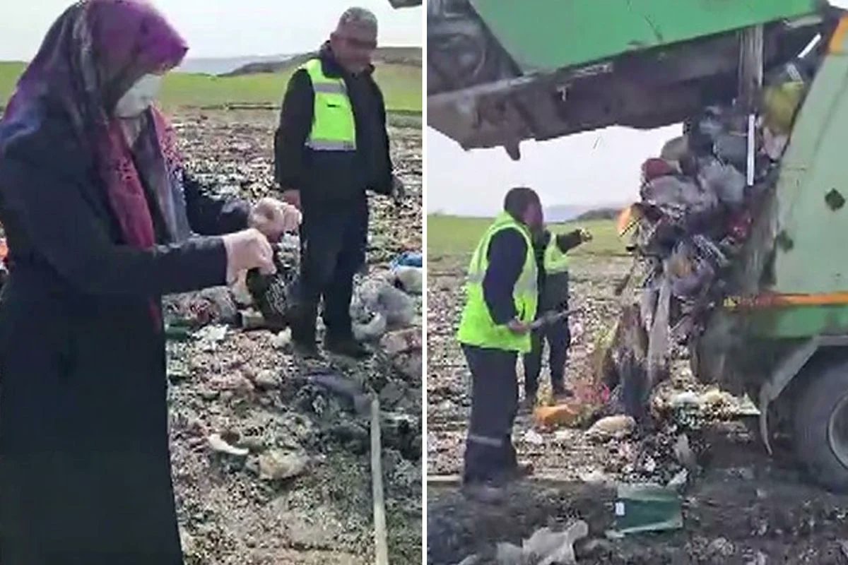Lahanaya Saklanan Altın Çöpten Çıktı: Dikkatsiz Çocuklar Serveti Attı, İşçiler Buldu