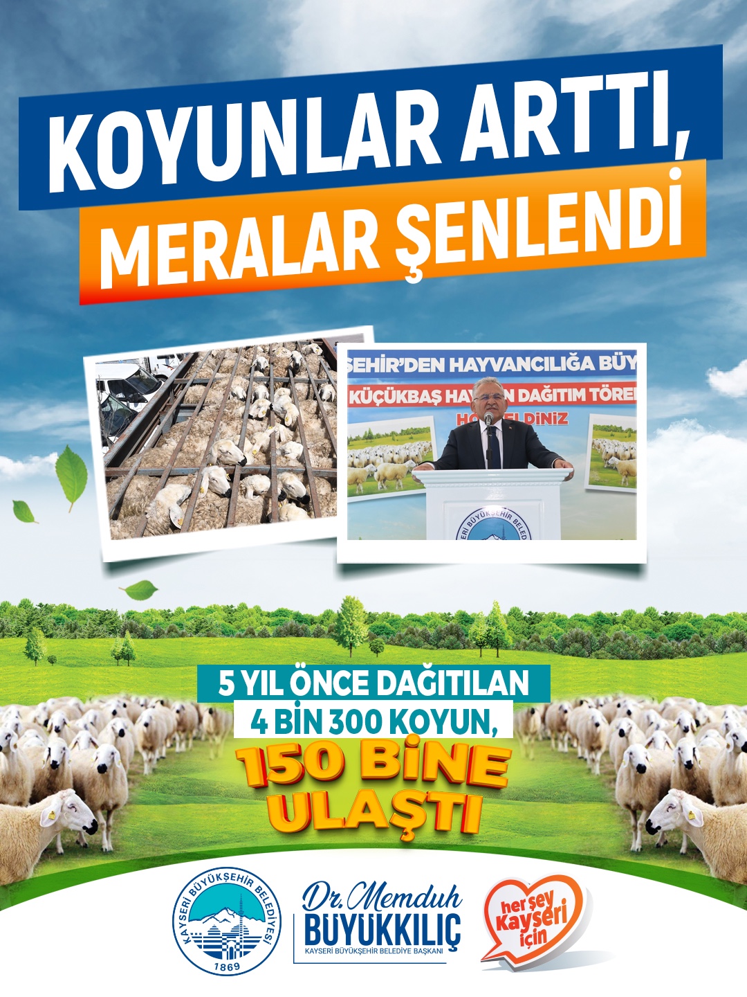 BAŞKAN BÜYÜKKILIÇ’IN PROJESİ REKOR KIRDI: 4 BİN KOYUN 150 BİN OLDU!