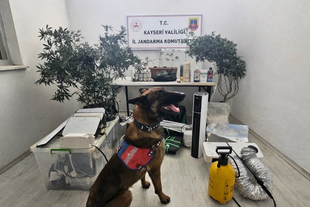 Kayseri’de Jandarmadan Zehir Tacirine Operasyon: M.K. Kıskıvrak Yakalandı