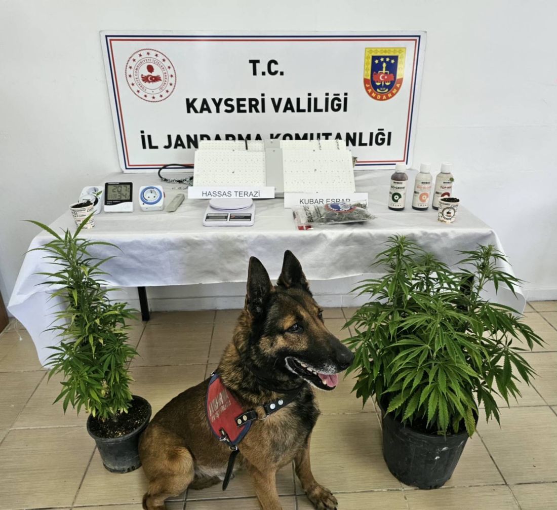 Jandarmadan Melikgazi'de Uyuşturucu Operasyonu! 1 Gözaltı