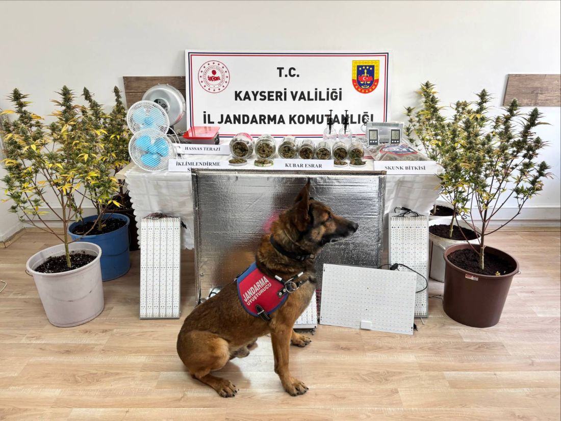İklimlendirme Sistemiyle Uyuşturucu Madde Yetiştiren Şahıs Yakalandı