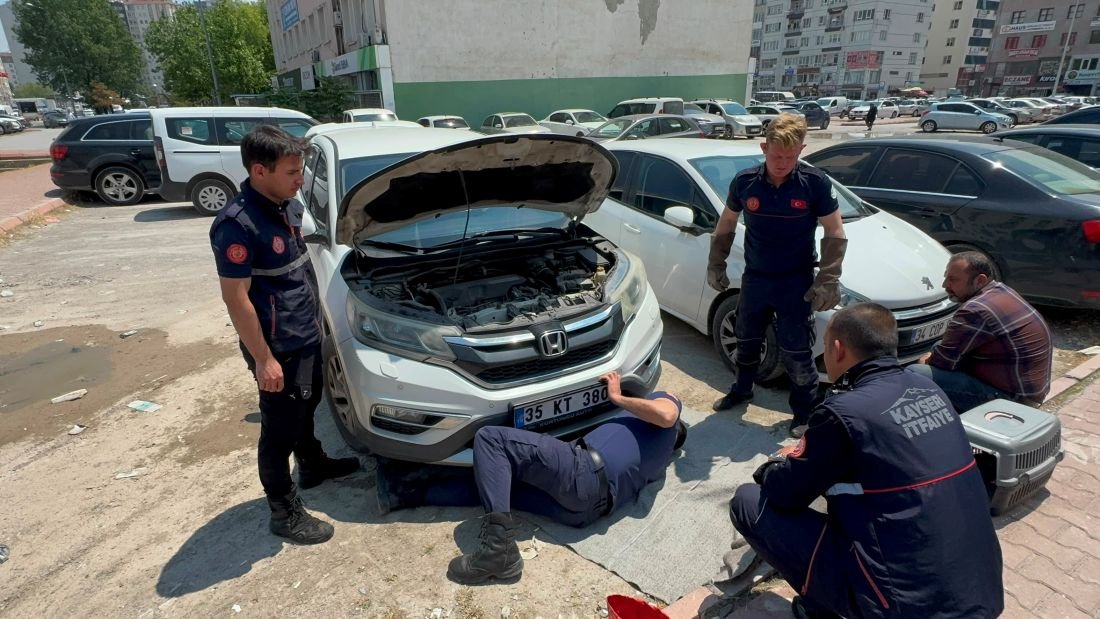 Otomobilin Motoruna Sıkışan Kedi Kayseri Büyükşehir İtfaiye Ekipleri Tarafından Kurtarıldı