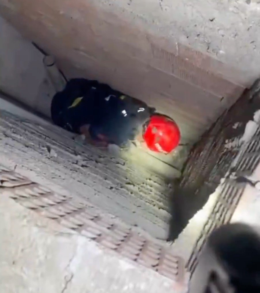 Havalandırma Boşluğuna Düşen Kedi İtfaiye Tarafından Kurtarıldı