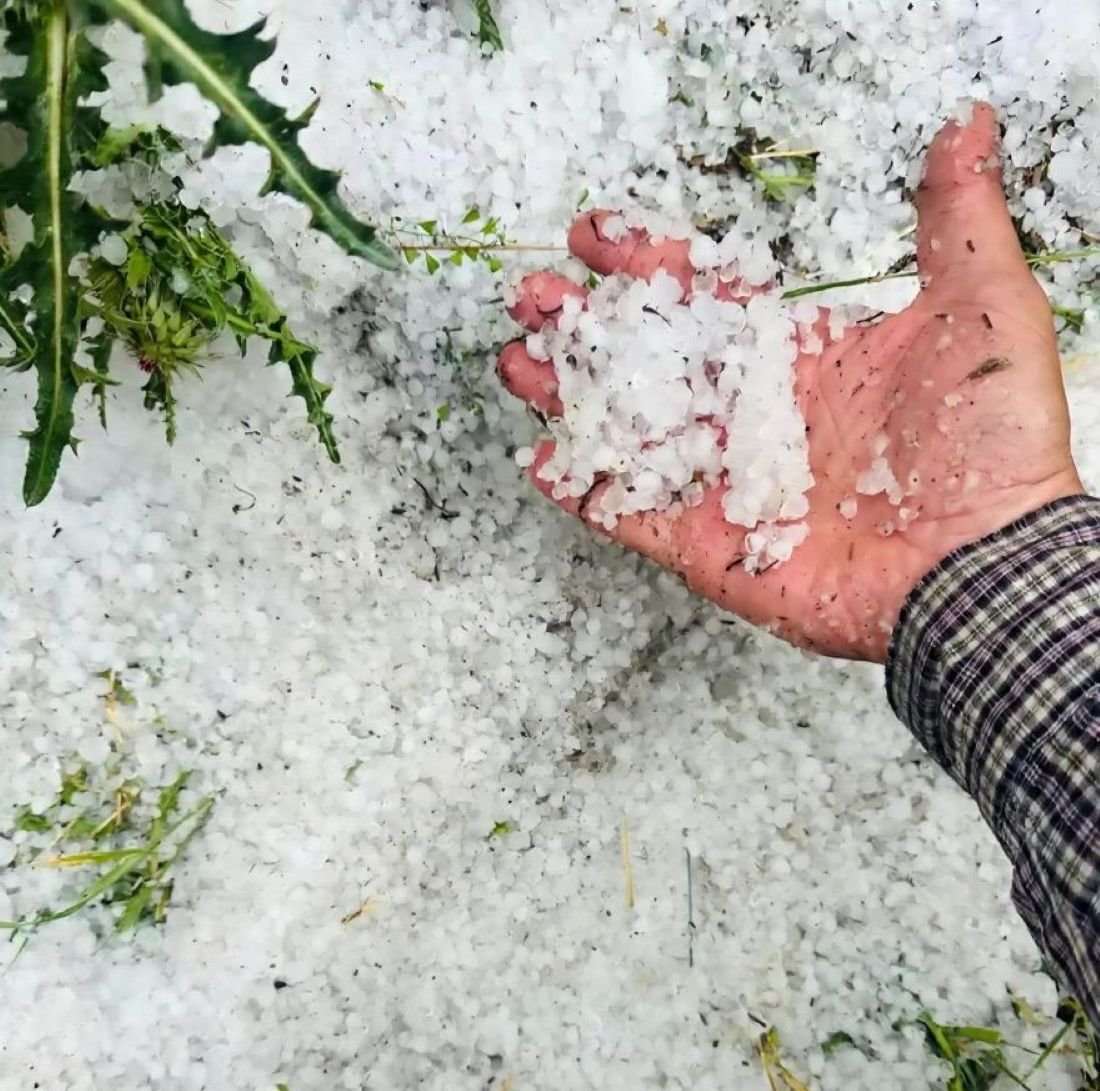 Tomarza'da Dolu Yağışı Ekili Arazileri Vurdu! 