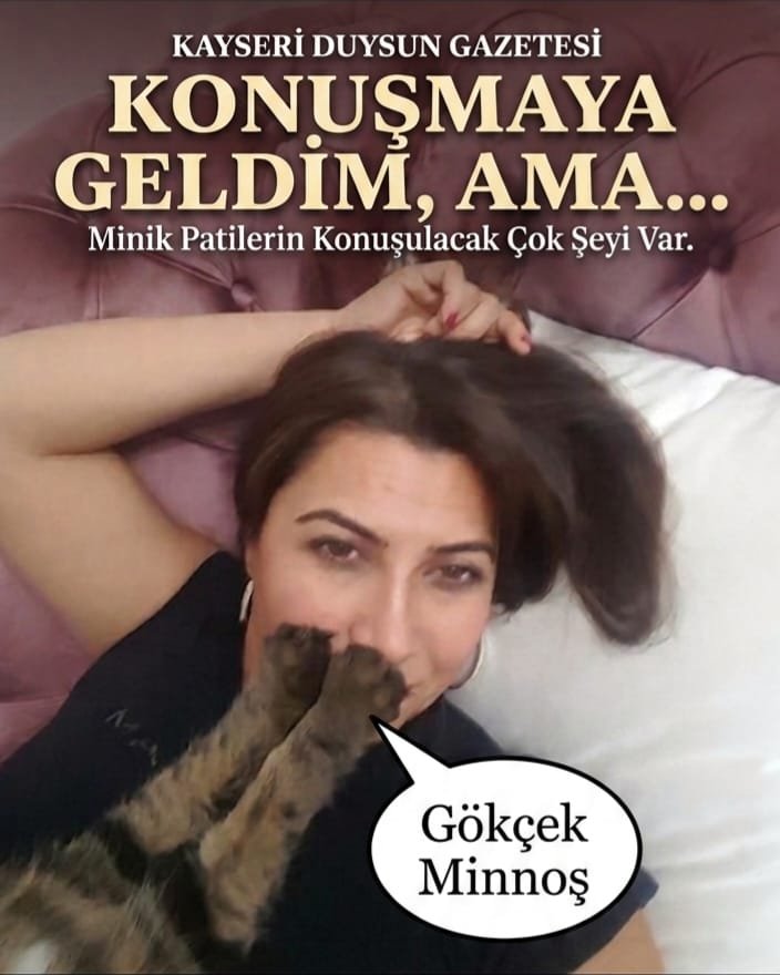 Songül Arık'tan VİTRİNDE HEVES, SOKAKTA REZALET: SİZ HANGİ DİNİN MERHAMETİNDENSİNİZ?