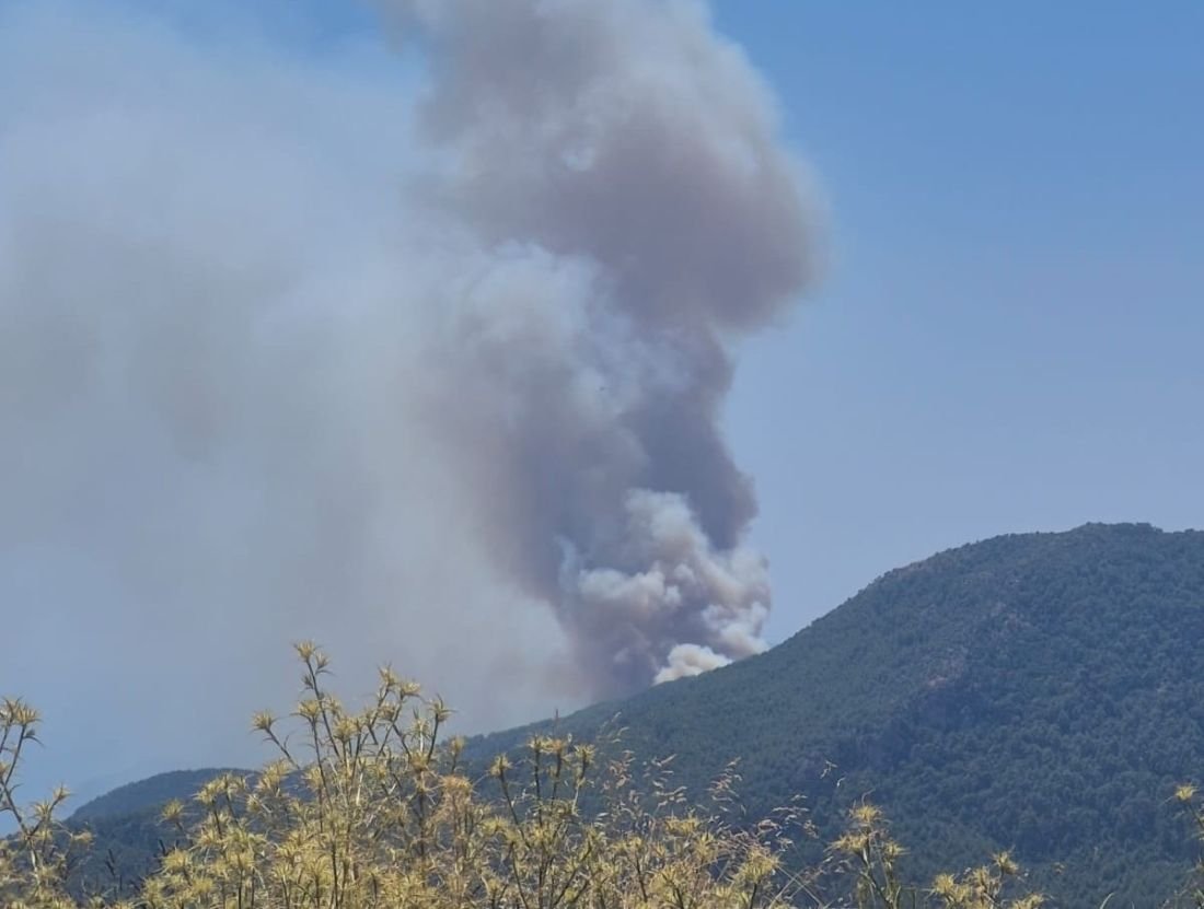 Türkiye Alev Alev! 4 İlde Orman Yangını... Evler Tahliye Edildi