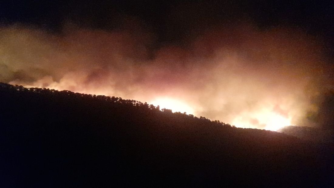 AYDIN Çine'de Alevler Yerleşim Yerlerine Ulaştı: Evler Boşaltılıyor