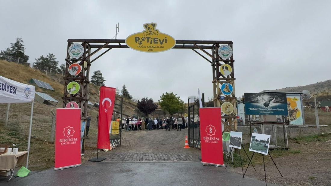 Hayvanları Koruma Günü Talas Pati Evi’nde kutlandı