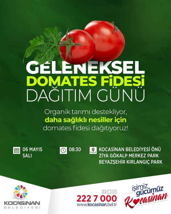 kocasinan-belediyesi-hibrit-olmayan-yerli-domates-fidelerini-ucretsiz-dagitarak-hem-saglikli-uretimi-tesvik-ediyor-hem-de-geleneksel-tarimi-yasatiyor